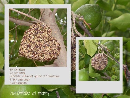 DIY:Ταίζουμε τα πουλάκια της αυλής!Εύκολη κατασκευή με σποράκια!