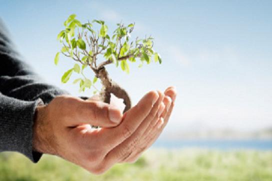 ΠΡΟΚΗΡΥΞΗ-ΑΙΤΗΣΕΙΣ ΣΥΜΜΕΤΟΧΗΣ (Ε.Ε.Τ.Α.Α) ΓΙΑ ΕΓΓΡΑΦΗ ΣΕ ΠΑΙΔ.ΣΤΑΘΜΟΥΣ ΠΕΡΙΟΔΟΣ 2013-14!