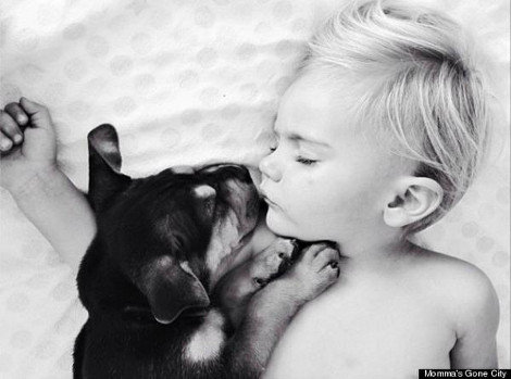 Η ιστορία αγάπης και… ύπνου ενός μωρού και ενός σκύλου που «έλιωσε» το ίντερνετ!