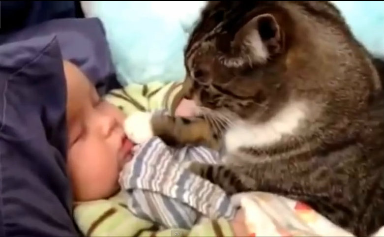 Μωρά & ζώα! (βίντεο)