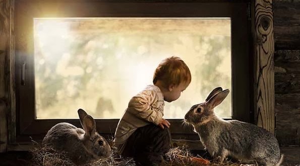 Τα δυο αδελφάκια που είναι δεμένα με τα ζώα!