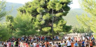 Παιδικές κατασκηνώσεις: Ξεκινούν οι αιτήσεις στον e-ΕΦΚΑ – Ποιοι οι δικαιούχοι